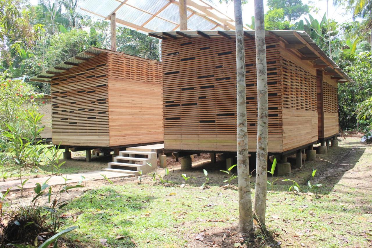 Palmayacu - Refugio Amazonico Leticia Extérieur photo